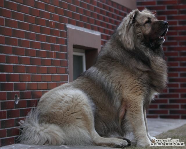 20120325_40m_031_D1.JPG