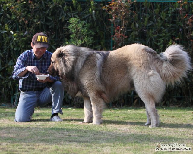 20120403_40m_020_D1.JPG