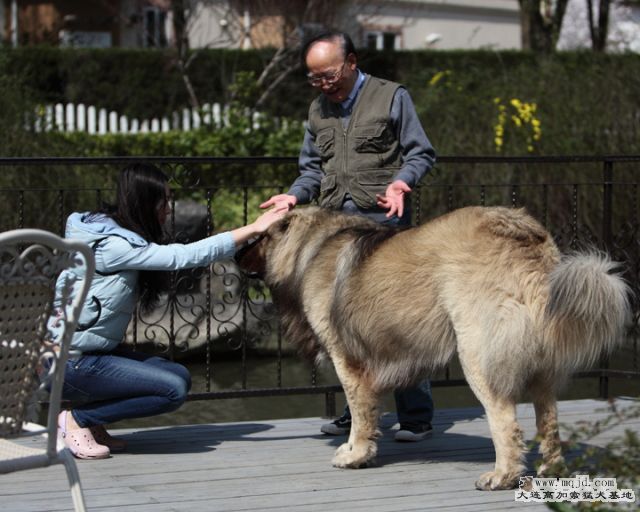 20120403_40m_006_D1.JPG