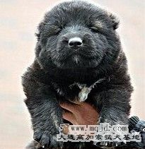M]TY]OBBN_)Z6B2W$I5`)~I.jpg