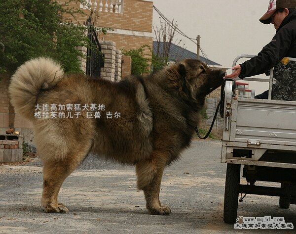IMG_9684޼.jpg