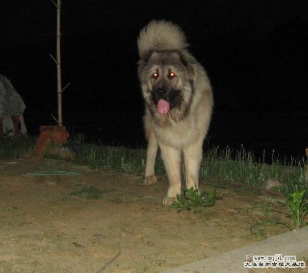 С IMG_5684.JPG