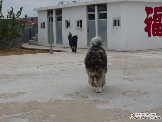 P1080300.JPG