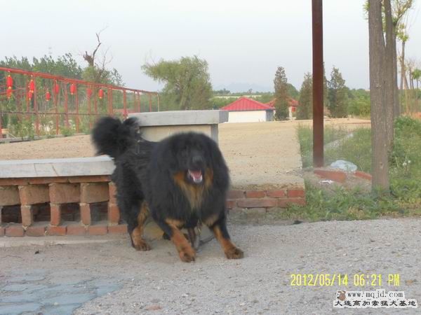 SAM_3112.JPG