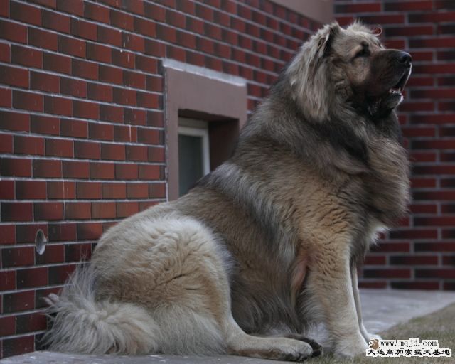 20120331_6071bf5e5cfbf0e6cc12XFjzLj7cLlAL.jpg