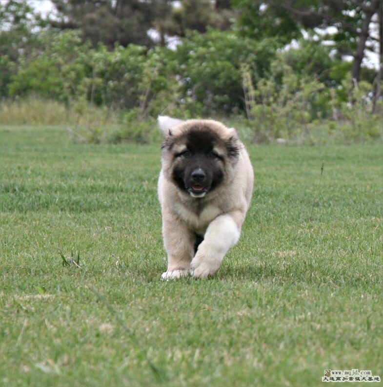 ߼ȮͼƬIMG_1842.jpg