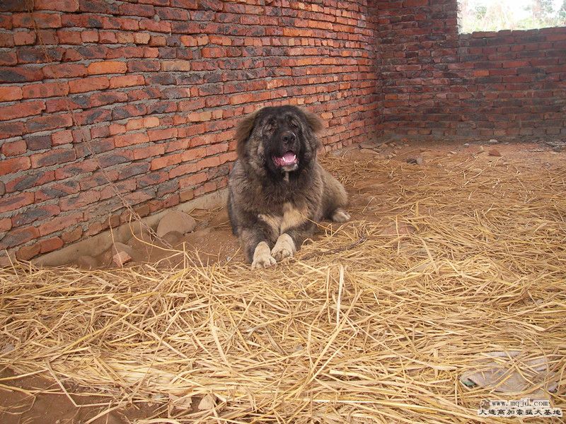 SANY0039_.jpg