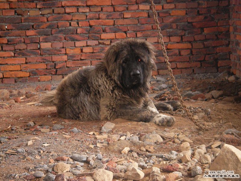 SANY0026_.jpg
