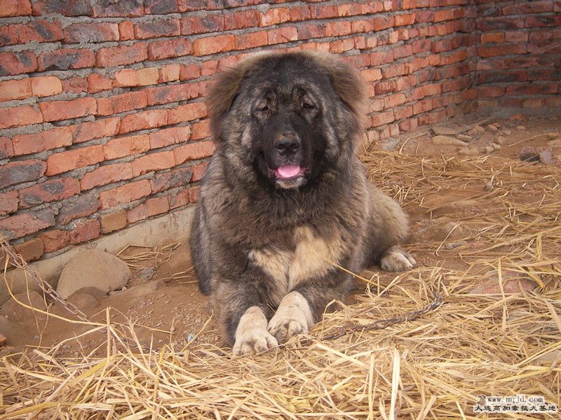 SANY0043_.jpg
