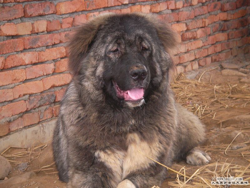 SANY0044_.jpg