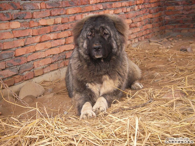 SANY0042_.jpg