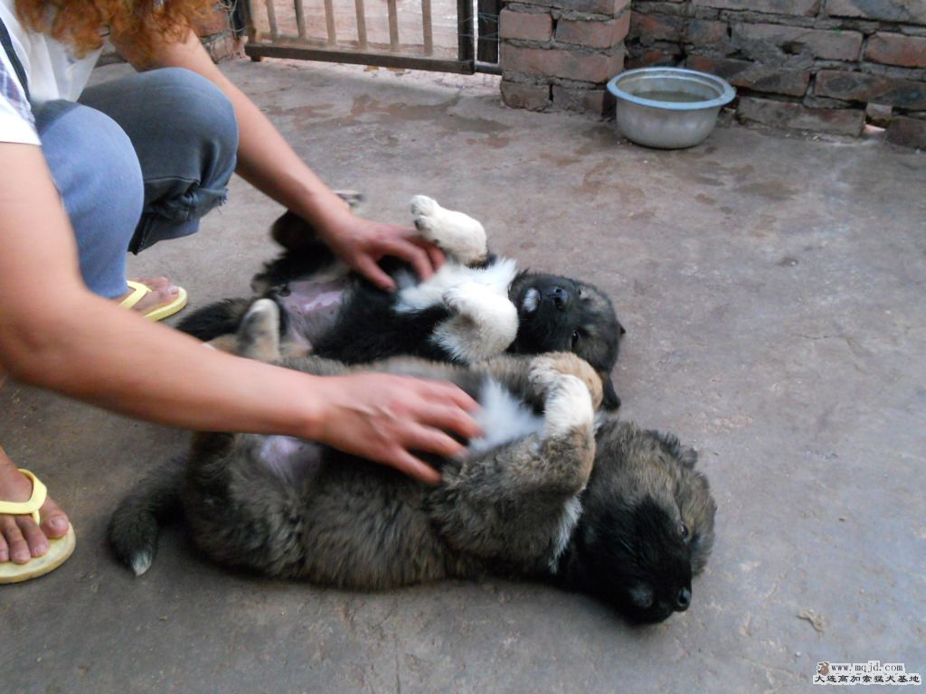 Ȯ 273.jpg