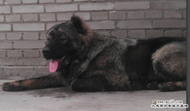 070811.jpg