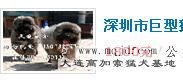 360ͼ20120712175745015.jpg