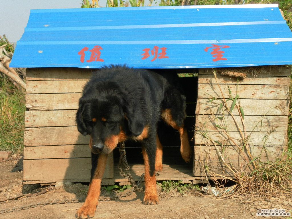 20120912.JPG