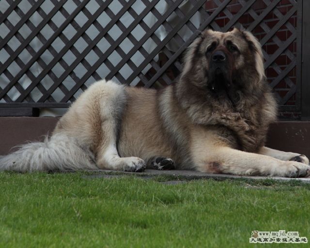 20121007_46mth0029_SD.JPG