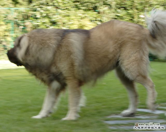 20121011_46m0008_SD.JPG