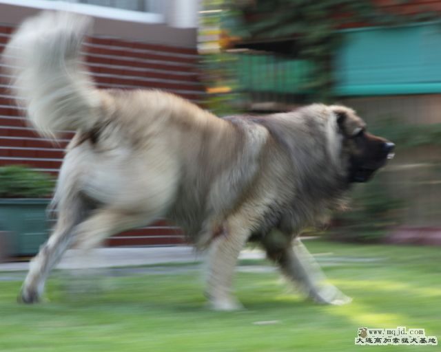20121007_46mth0033_SD.JPG