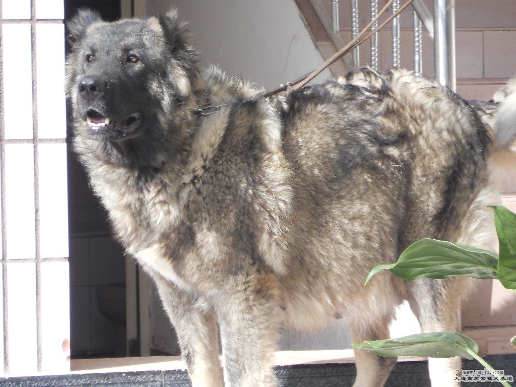 ĴĸȮɯ 076.jpg