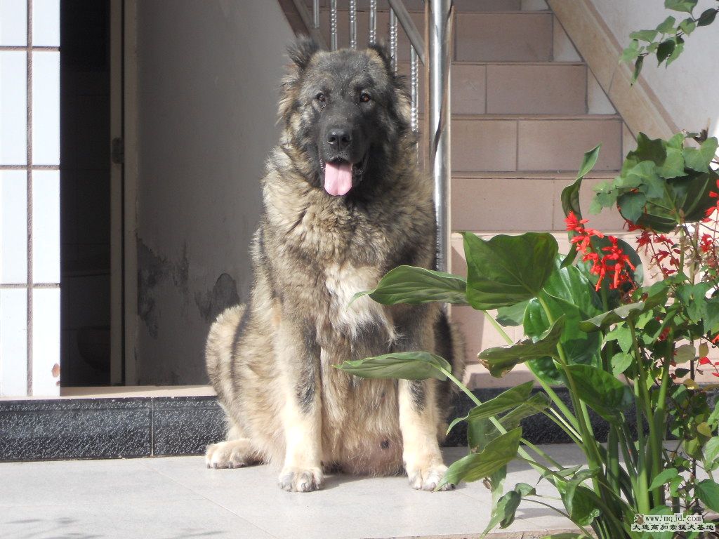 ĴĸȮɯ 079.jpg