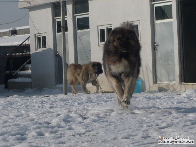P1090231.JPG