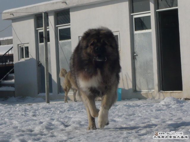P1090232.JPG