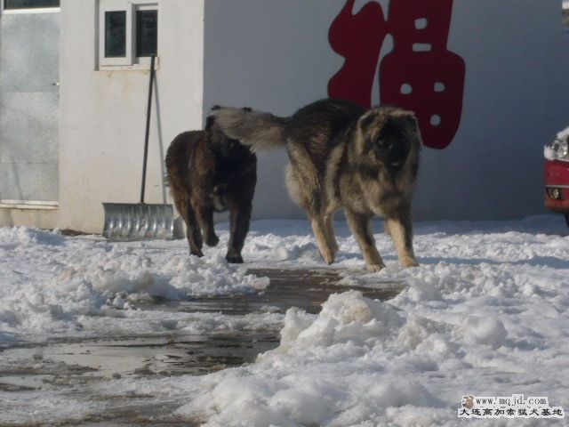 P1090235.JPG