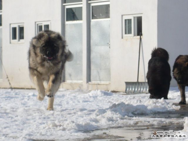 P1090244.JPG