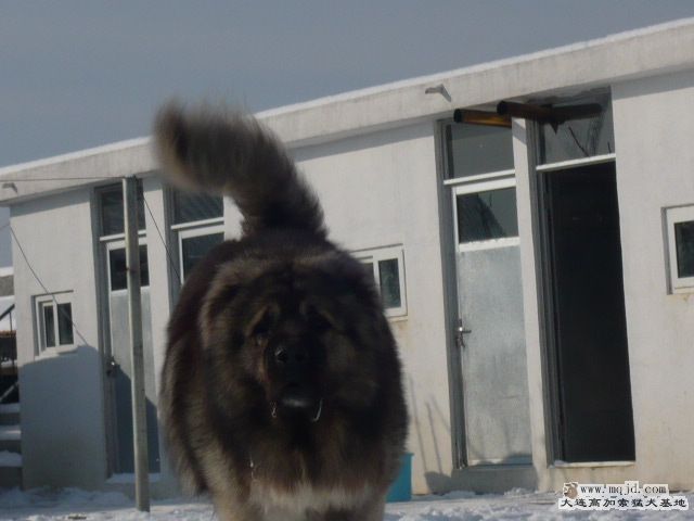 P1090233.JPG