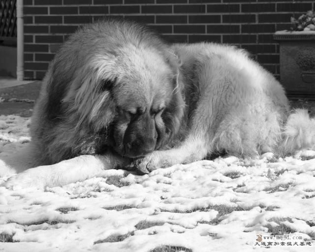 20121230_4y1m_c0018_D1.JPG
