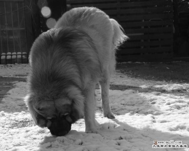 20121230_4y1m_c0015_D1.JPG