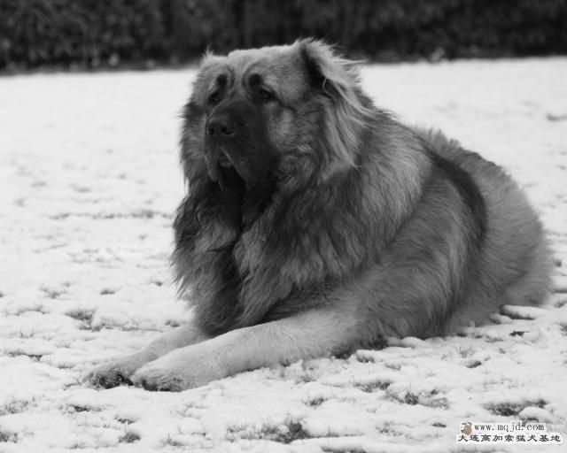 20121230_4y1m_c0014_D1.JPG