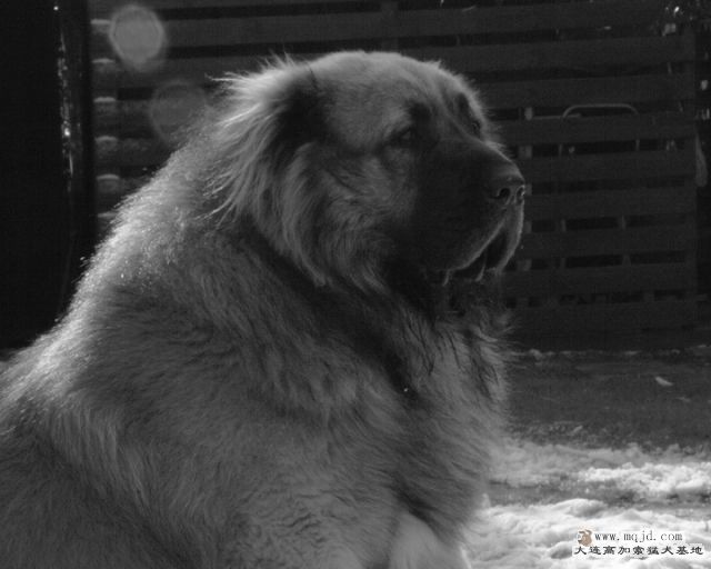 20121230_4y1m_c0016B_D1.JPG