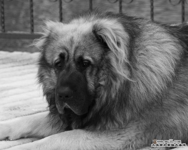 20121230_4y1m_c0005b_D1.JPG