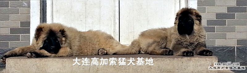 20130119_125956.jpg