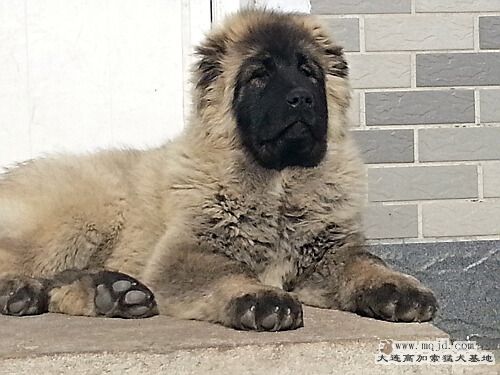 20130119_130110.jpg