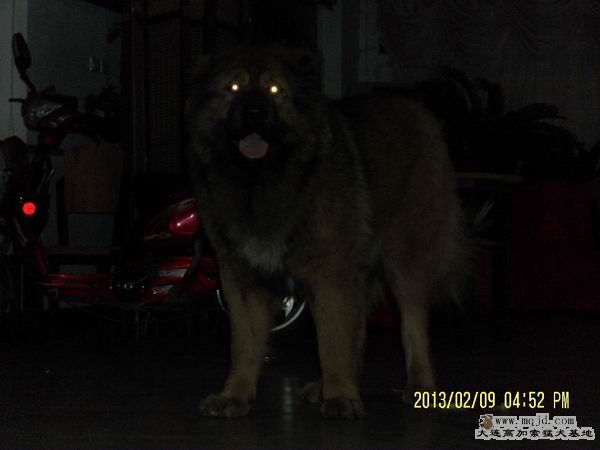 SAM_4024.JPG