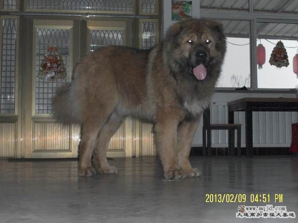 SAM_4017.JPG