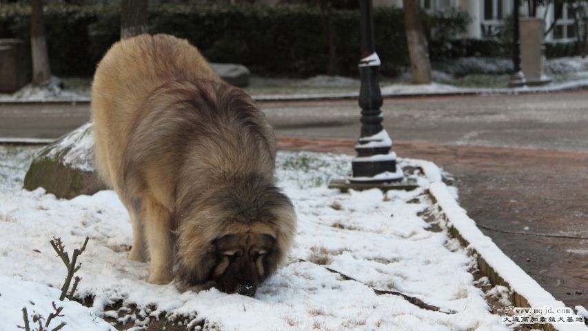 20130209_4y2m_0016_HD.JPG