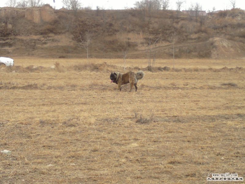 201302171133.jpg