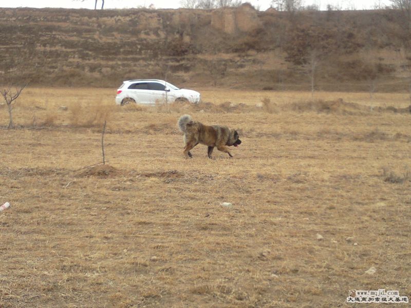 201302171132.jpg