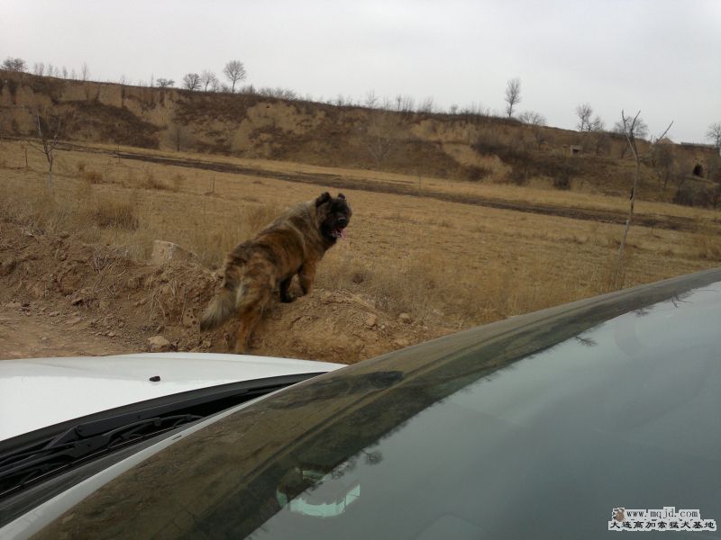 201302171134.jpg