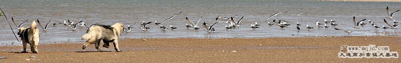 IMG_1425.JPG