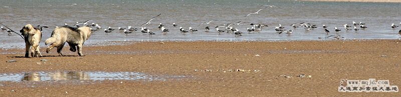 IMG_1424.JPG