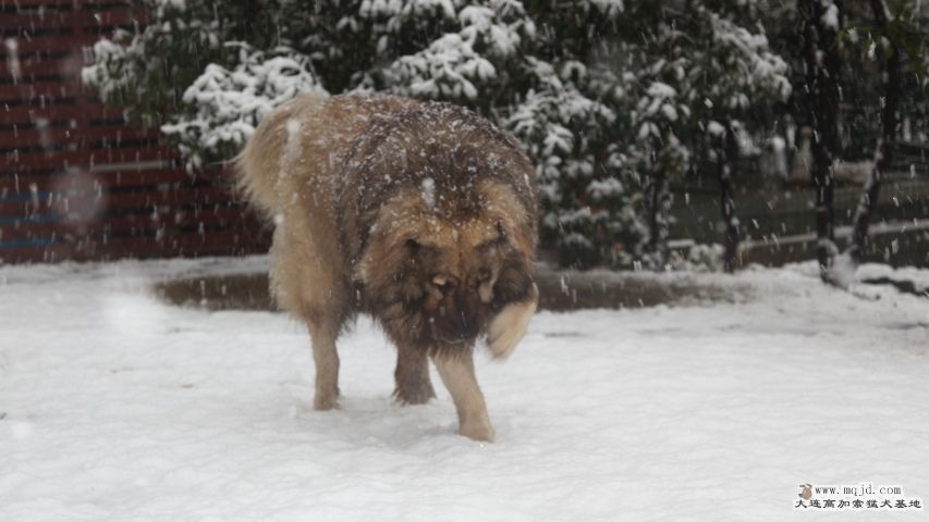 20130219_4yr2m_024_UHD.JPG