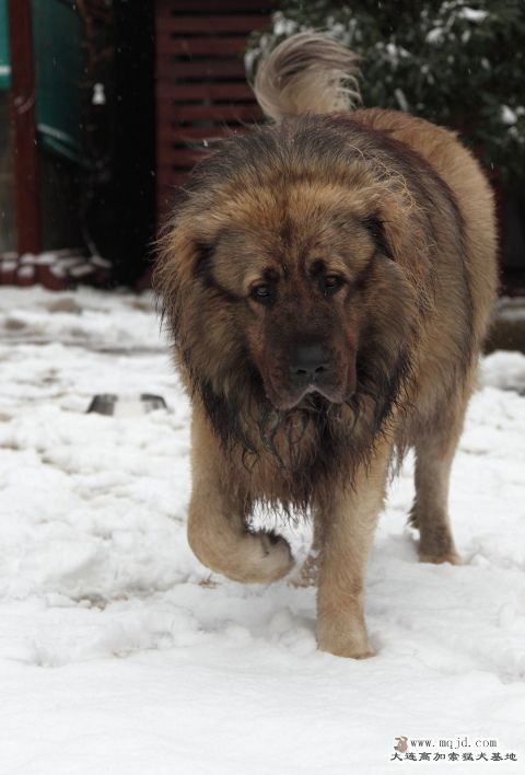 20130219_4yr2m_039b_UHD.JPG