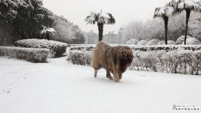 20130219_4yr2m_020_UHD.JPG