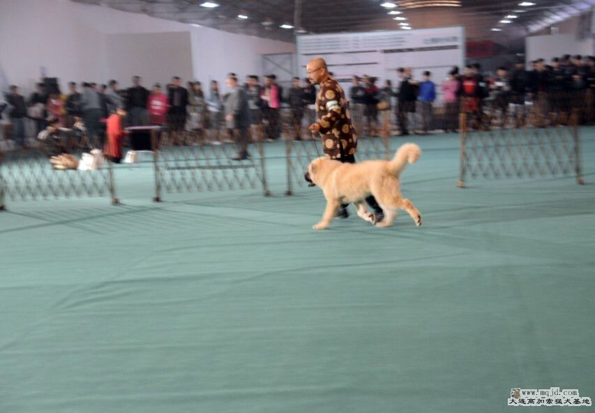 δ.jpg