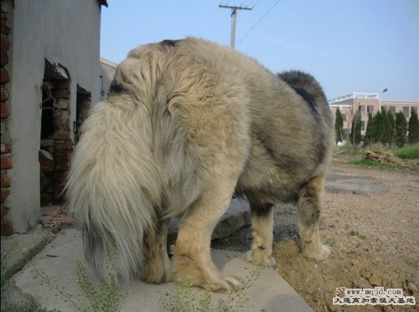 QQͼƬ20130606213143.jpg
