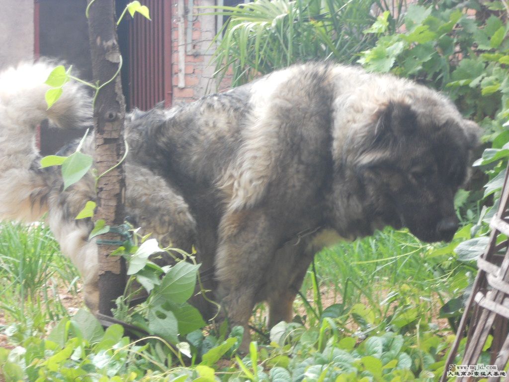 еİɯͺ 003.jpg